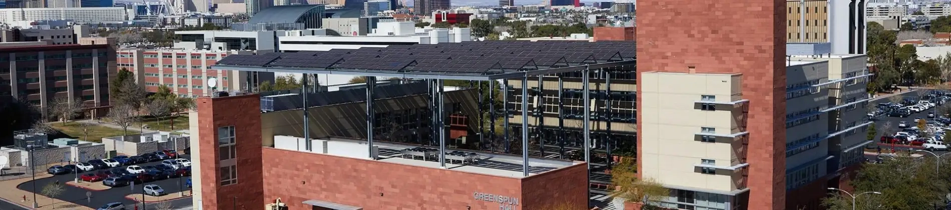 Chief Diversity Officer in Higher Education